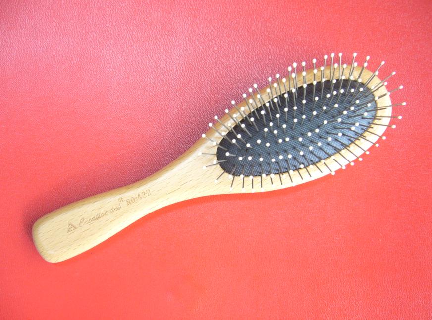 Paddle Brush 422