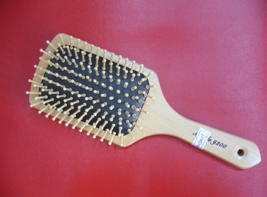 Paddle Brush 9200